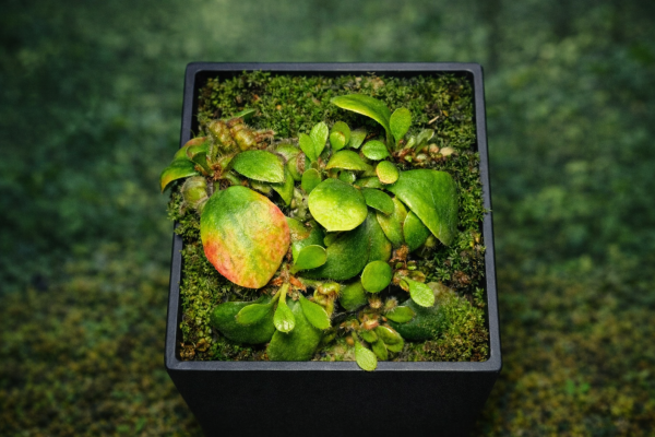 31ACD924-3C77-4E0C-B7E5-FD168E2205D1 31ACD924-3C77-4E0C-B7E5-FD168E2205D1