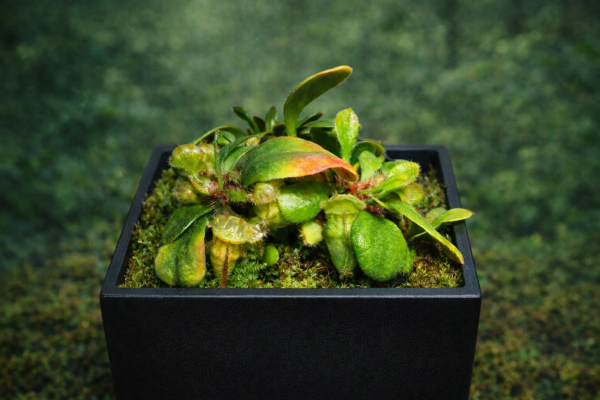 5A495A83-F5B1-4787-B0F7-00F1D0B2DF31 5A495A83-F5B1-4787-B0F7-00F1D0B2DF31