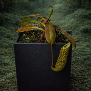 6EED1703-2D77-4E21-8DCE-17B60AAD2CFA