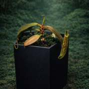 75A237C1-7C85-4A19-9AFA-E74DC80F5292