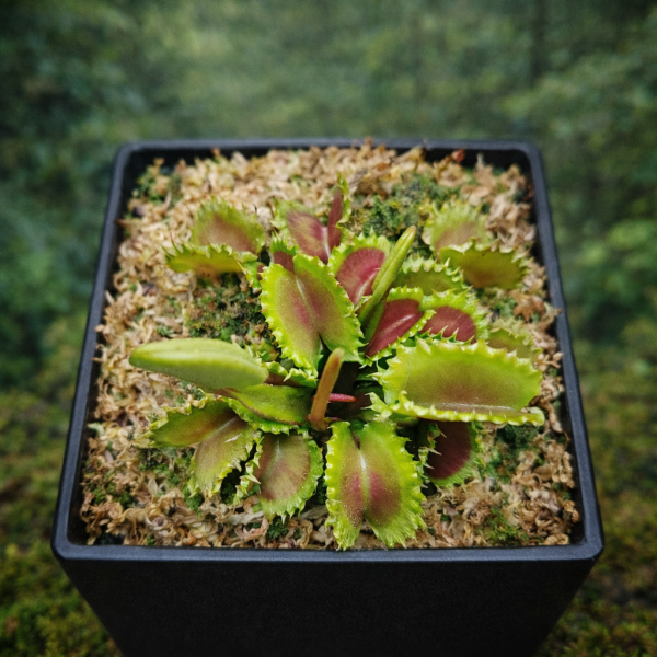 92754939-BF15-42B6-A046-77EB8F25F3AC