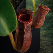 F9EF75D5-5014-4118-B5D9-9C5499E6ED39