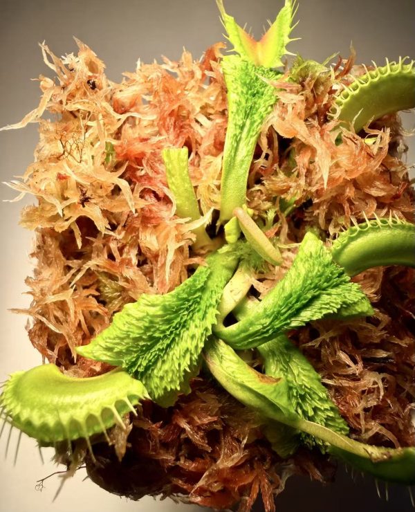 0687377389e8ed51a63cac098150e047