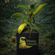 DF0F4E09-3550-4DBC-873C-971CFAC66B24